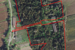 Trnovitički Popovac1