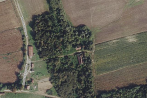 Trnovitički Popovac3